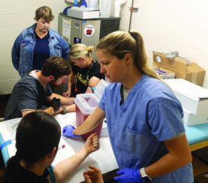 Members of the Warrior Research Center conduct blood draws for a research project.