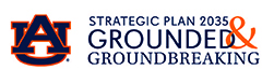 Strategic Plan 2035 Grounded & Groundbreaking
