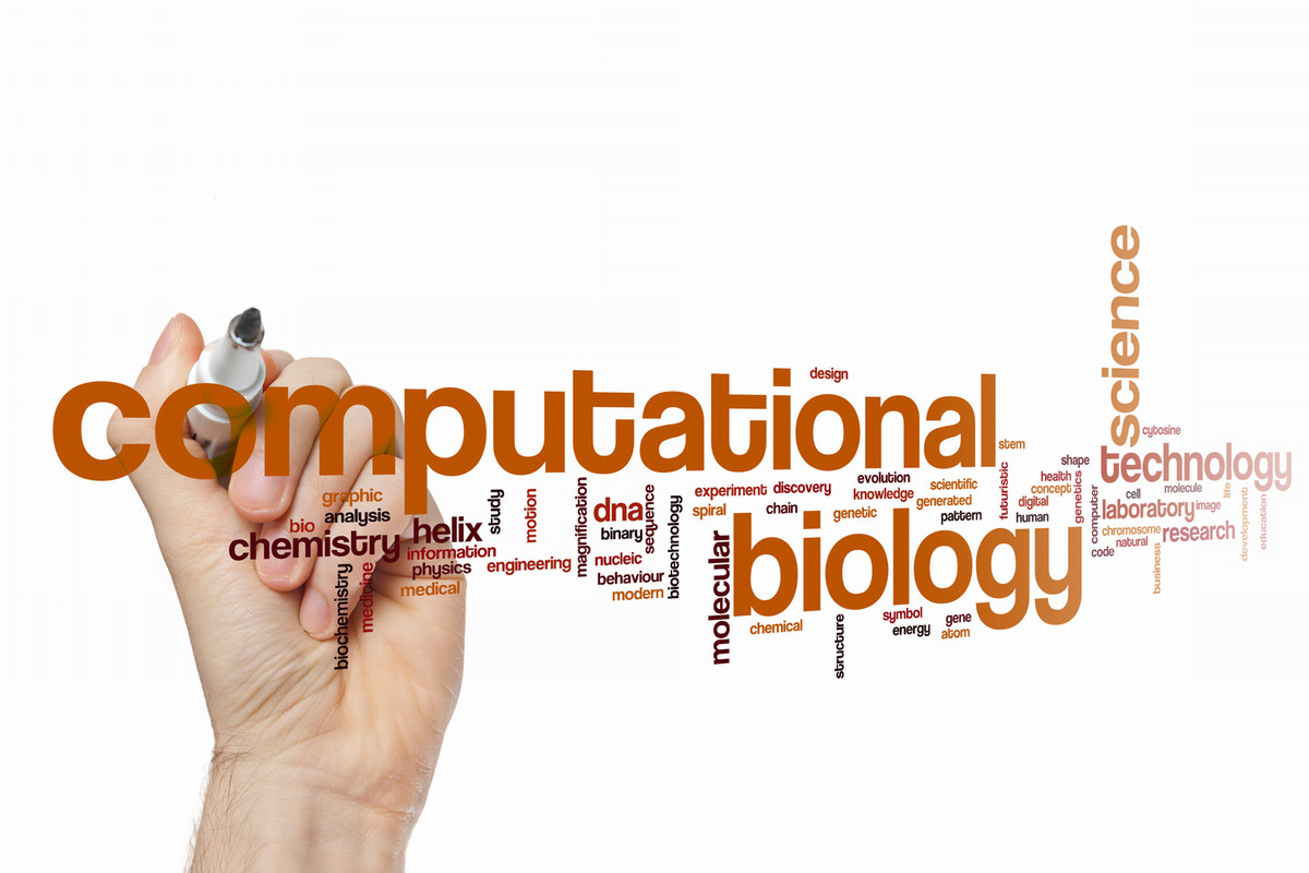 Computational Biology Word Art 