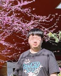 yin tang