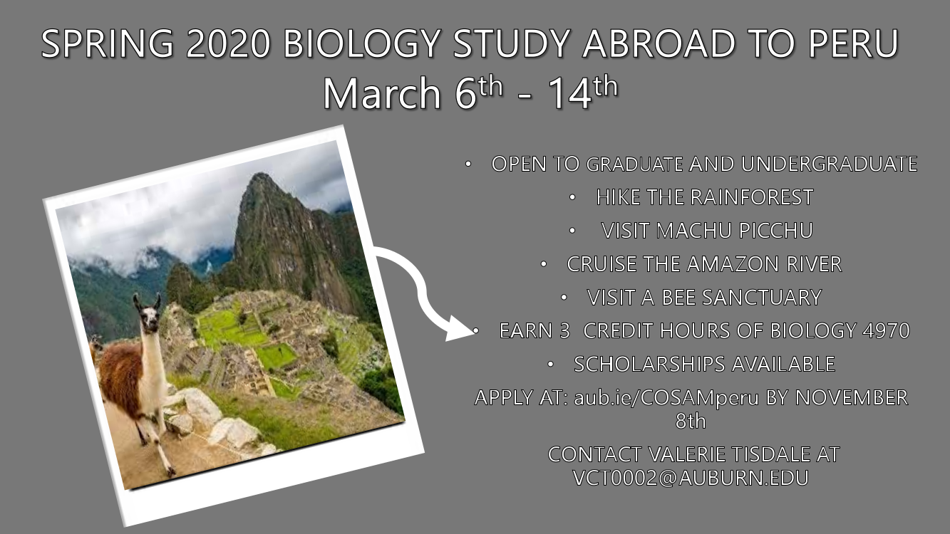 Peru 2020 Trip