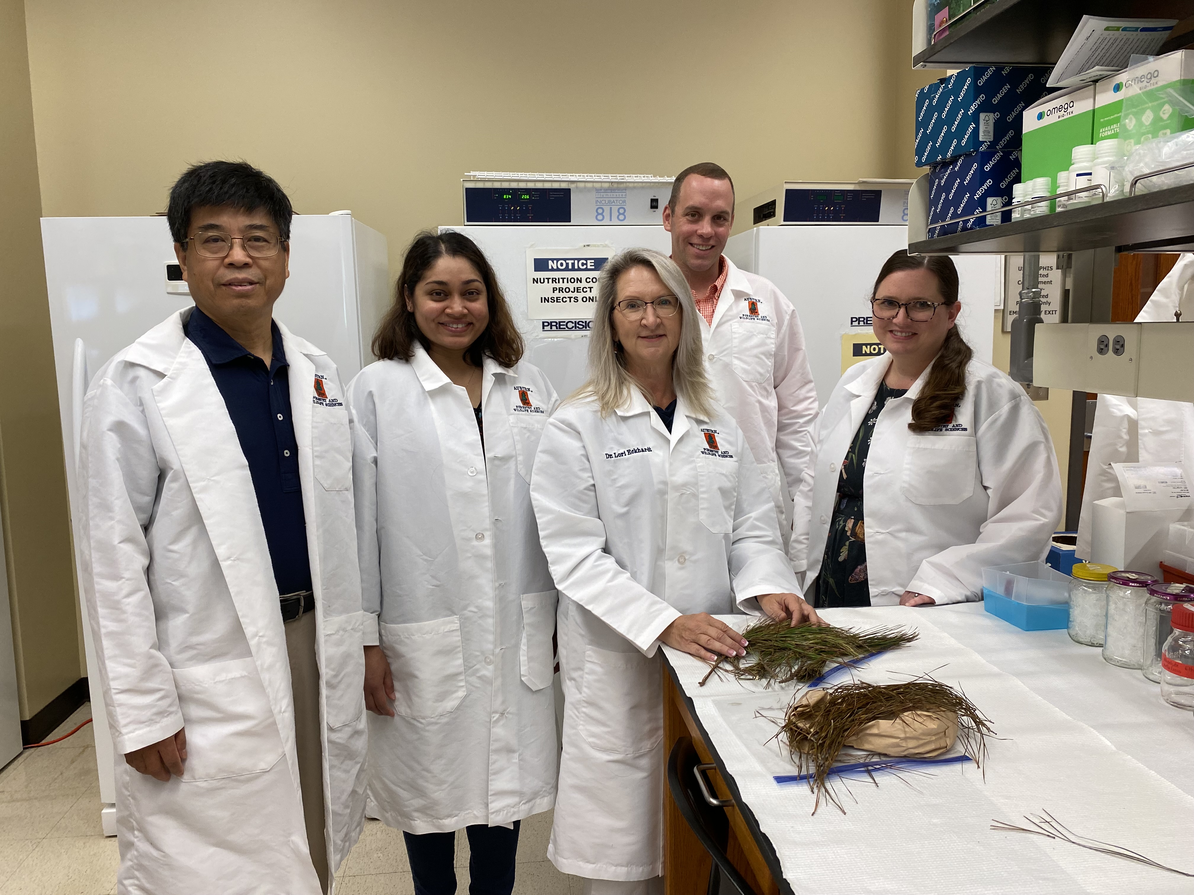 Research Team