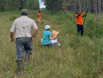 Fieldwork