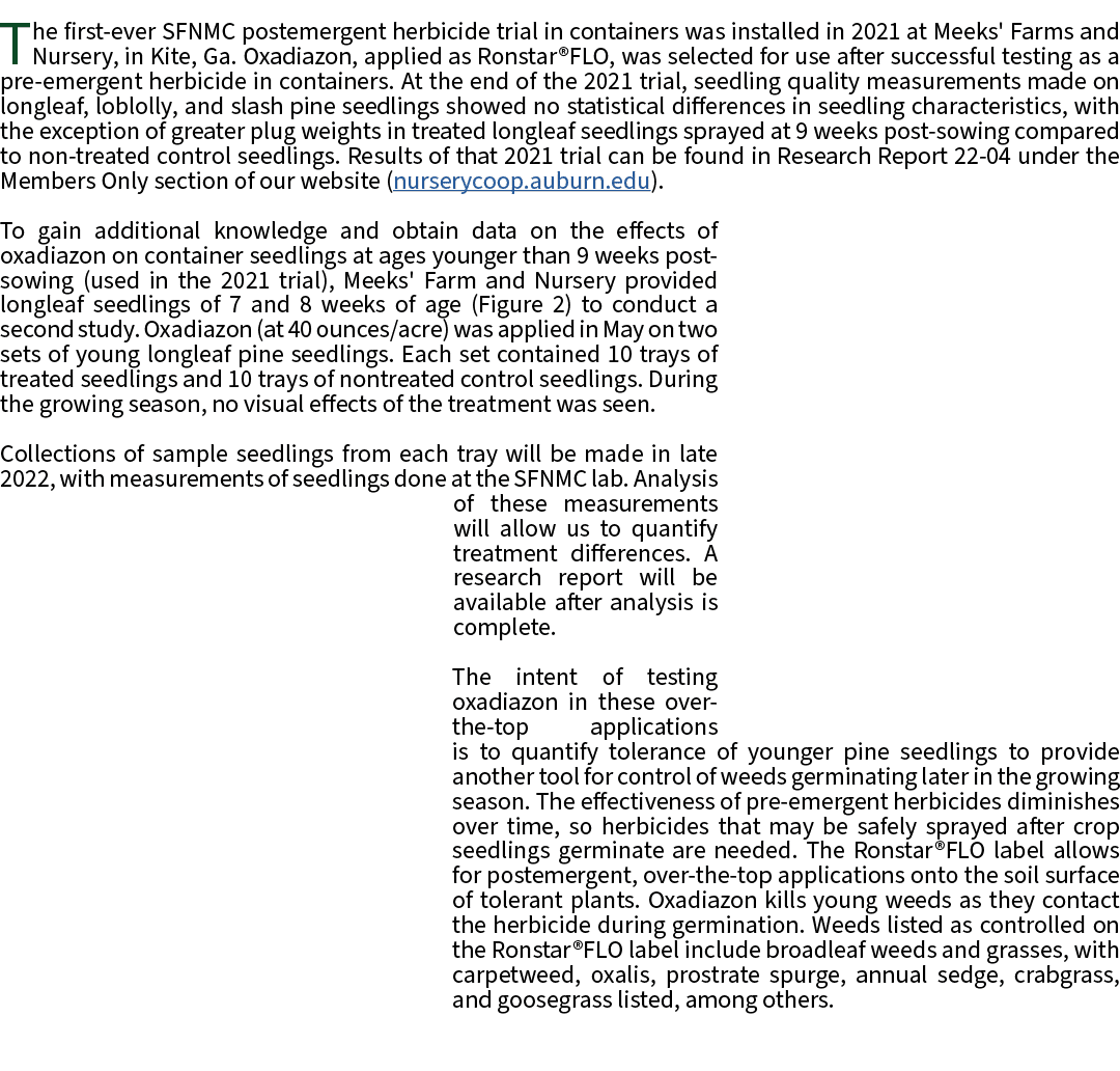 The first ever SFNMC postemergent herbicide trial in containers was installed in 2021 at Meeks' Farms and Nursery, in...