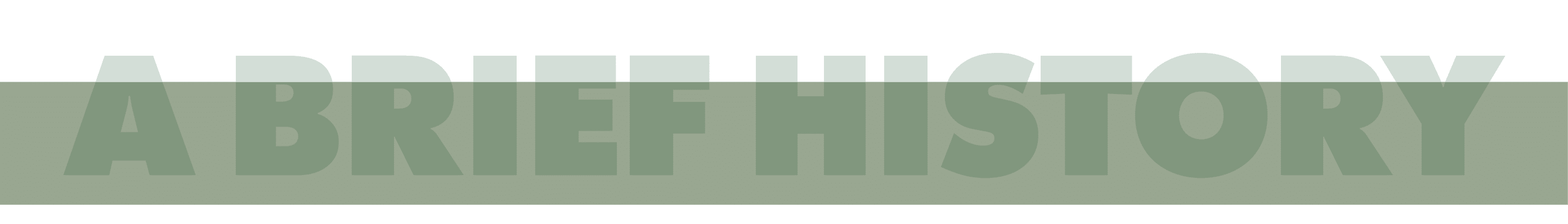 ﻿A Brief History