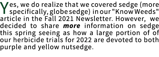 Being able to distinguish   