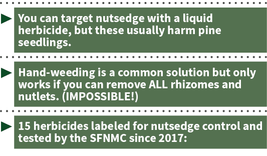   You can target nutsedge with a liquid herbicide, but these usually harm pine seedlings    Hand-weeding is a common    