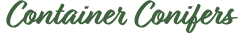 Container Conifers