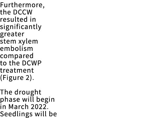 Furthermore, the DCCW resulted in significantly greater stem xylem embolism compared to the DCWP treatment (Figure 2)   