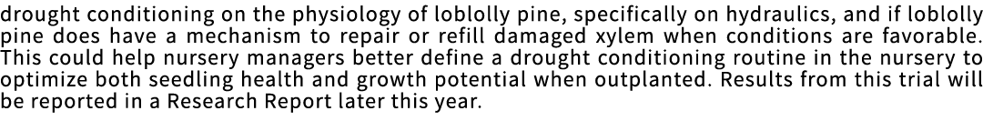 drought conditioning on the physiology of loblolly pine, specifically on hydraulics, and if loblolly pine does have a   