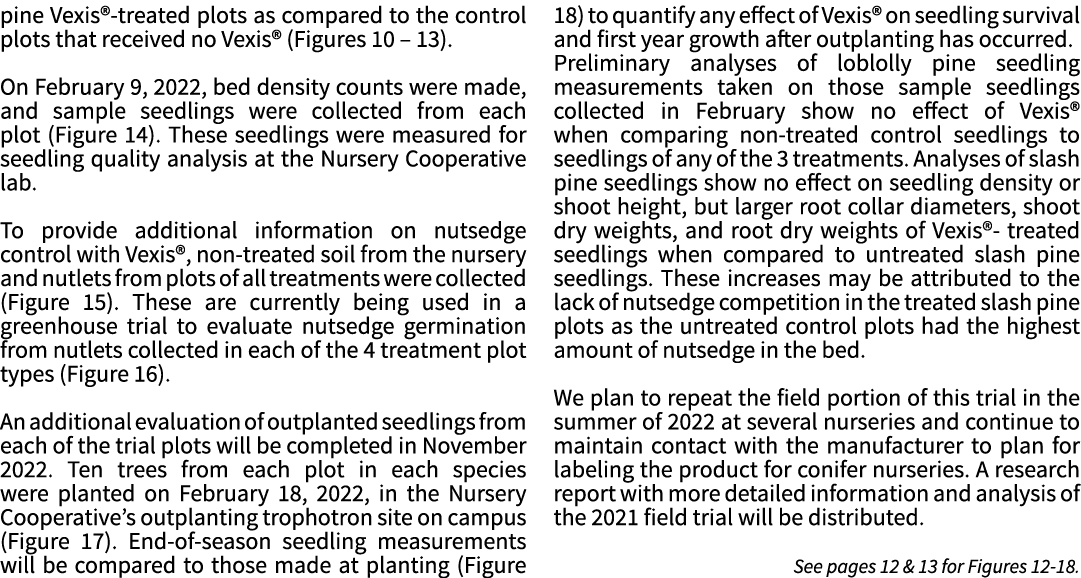 pine Vexis -treated plots as compared to the control plots that received no Vexis  (Figures 10   13)   On February 9,   