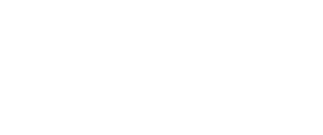 As a December 2021 graduate of Auburn High School, I have been fortunate to work for the SFNMC during my time between   
