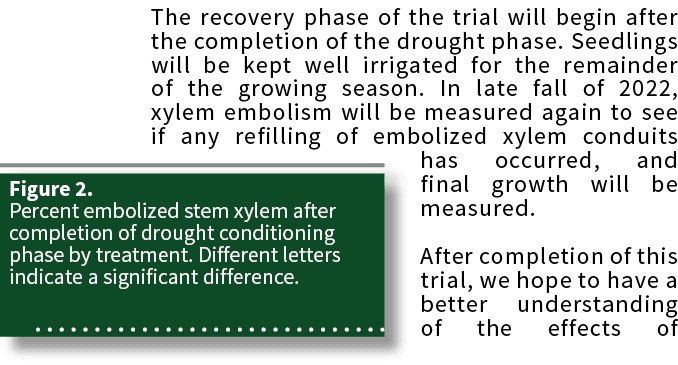 Figure 2  Percent embolized stem xylem after completion of drought conditioning phase by treatment  Different letters   