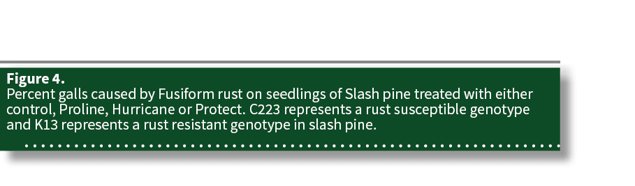 Figure 4  Percent galls caused by Fusiform rust on seedlings of Slash pine treated with either control, Proline, Hurr   