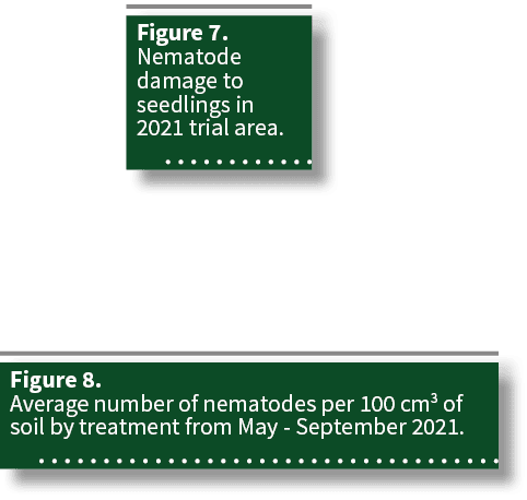 Figure 8  Average number of nematodes per 100 cm3 of soil by treatment from May - September 2021  ,Figure 7  Nematode   