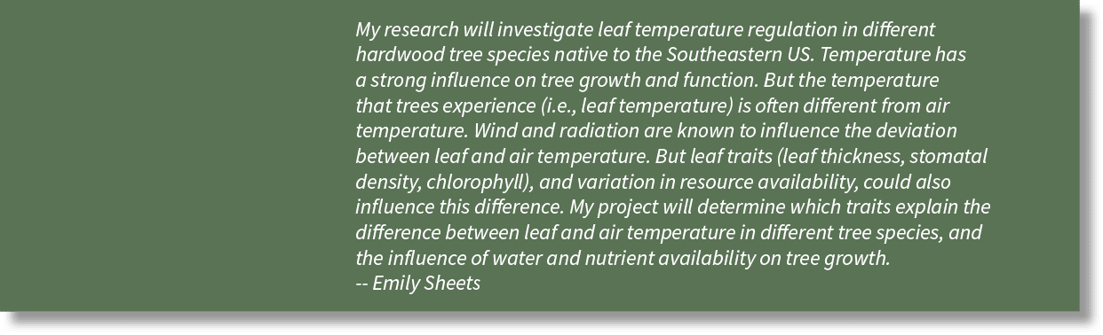 My research will investigate leaf temperature regulation in different hardwood tree species native to the Southeaster   