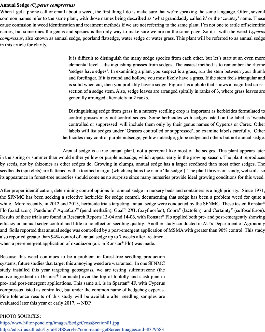 Annual Sedge (Cyperus compressus) When I get a phone call or email about a weed, the first thing I do is make sure th...