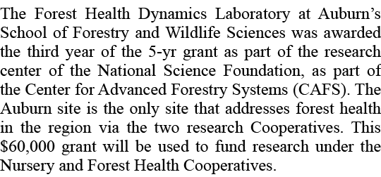 The Forest Health Dynamics Laboratory at Auburn’s School of Forestry and Wildlife Sciences was awarded the third year...