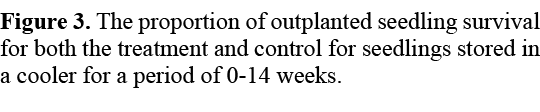 Figure 3. The proportion of outplanted seedling survival for both the treatment and control for seedlings stored in a...