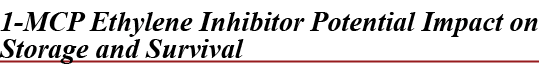 1 MCP Ethylene Inhibitor Potential Impact on Storage and Surviva