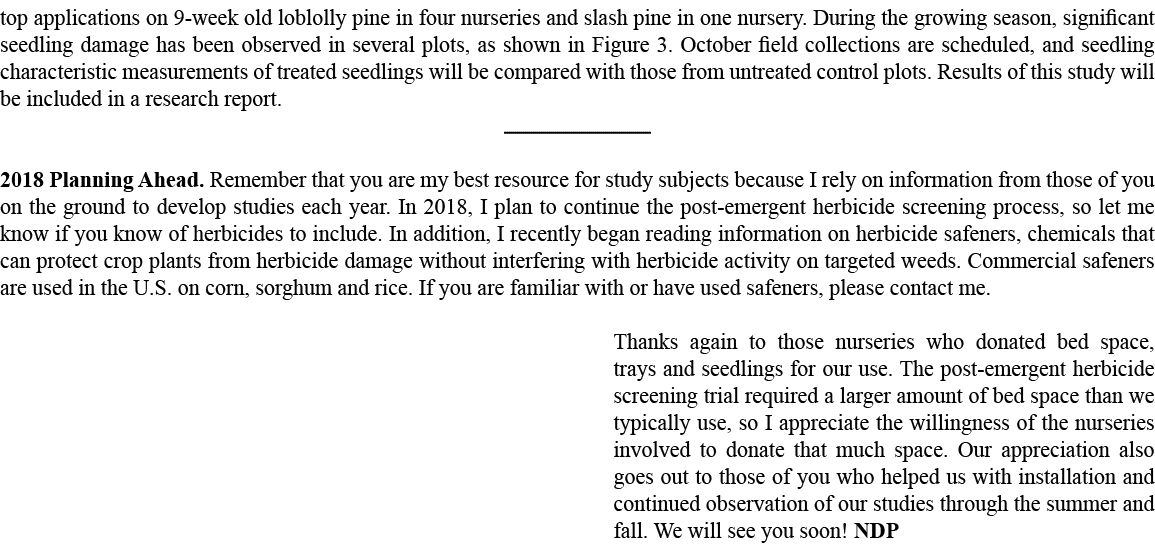 top applications on 9 week old loblolly pine in four nurseries and slash pine in one nursery. During the growing seas...