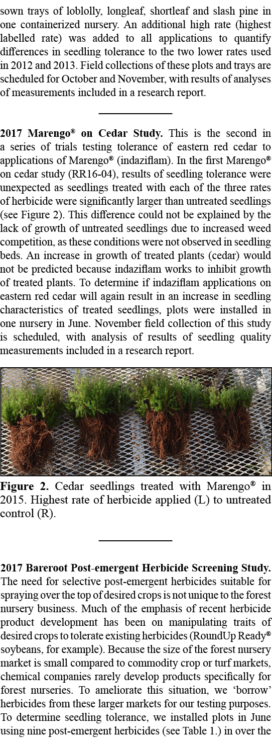 2017 Bareroot Post emergent Herbicide Screening Study. The need for selective post emergent herbicides suitable for s...