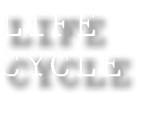LIFE CYCLE