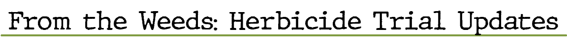 From the Weeds: Herbicide Trial Update