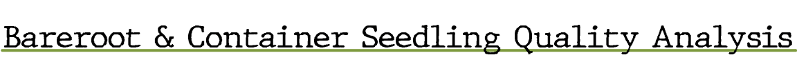Bareroot & Container Seedling Quality Analysi