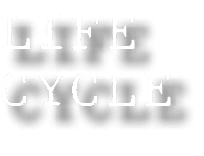 LIFE CYCLE
