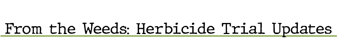 From the Weeds: Herbicide Trial Update
