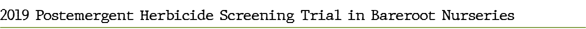 2019 Postemergent Herbicide Screening Trial in Bareroot Nurserie