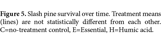Figure 5. Slash pine survival over time. Treatment means (lines) are not statistically different from each other. C=n...