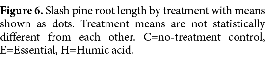 Figure 6. Slash pine root length by treatment with means shown as dots. Treatment means are not statistically differe...
