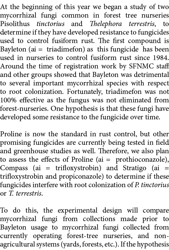 At the beginning of this year we began a study of two mycorrhizal fungi common in forest tree nurseries Pisolithus ti...