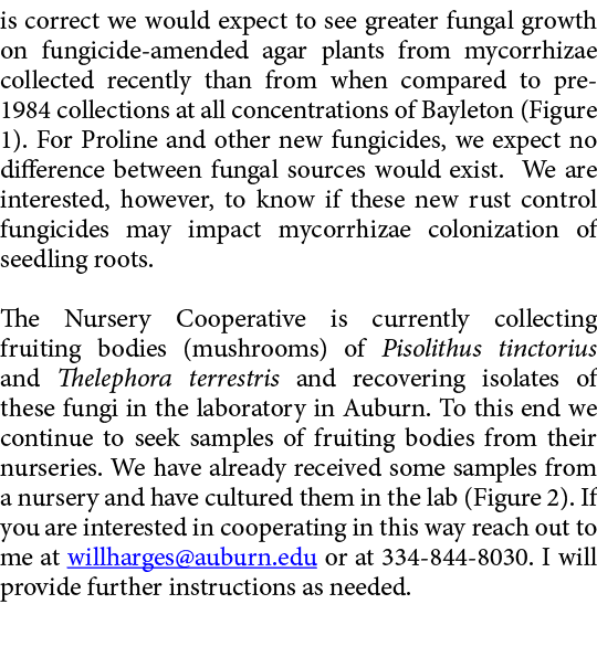 is correct we would expect to see greater fungal growth on fungicide amended agar plants from mycorrhizae collected r...