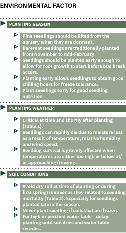 Environmental Factor s ▶ PLANTING SEASON ▷ Pine seedlings should be lifted from the nursery when they are dormant. ▷ ...