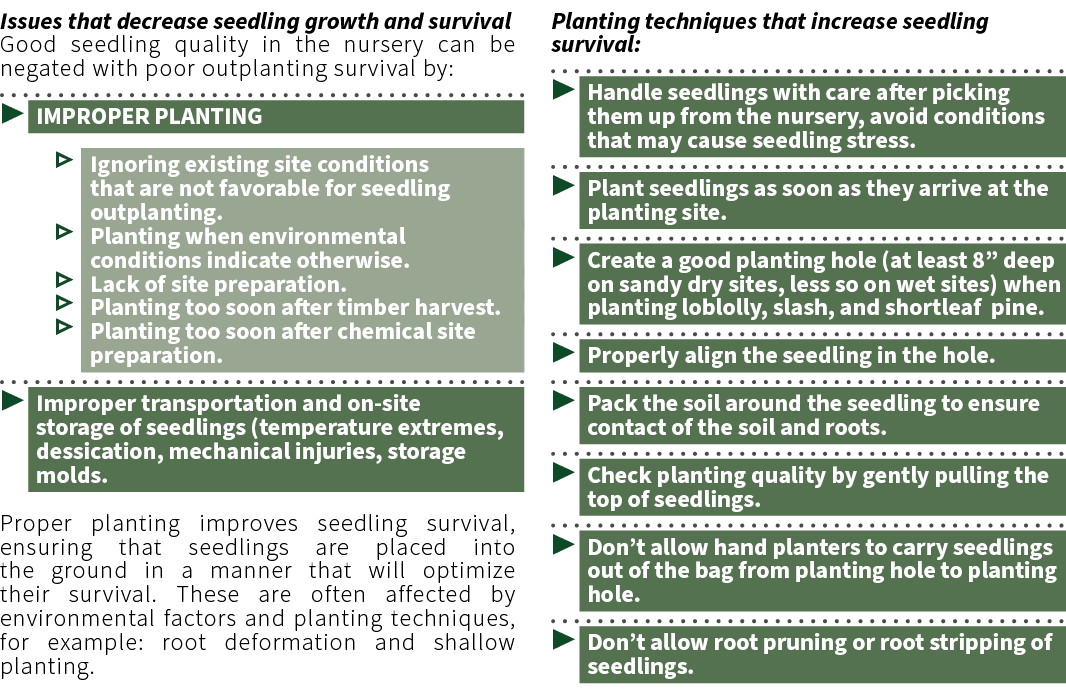 Issues that decrease seedling growth and survival Good seedling quality in the nursery can be negated with poor outpl...