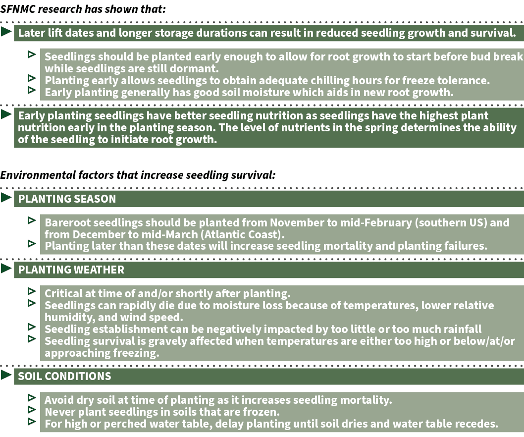 SFNMC research has shown that: ▶ Later lift dates and longer storage durations can result in reduced seedling growth ...