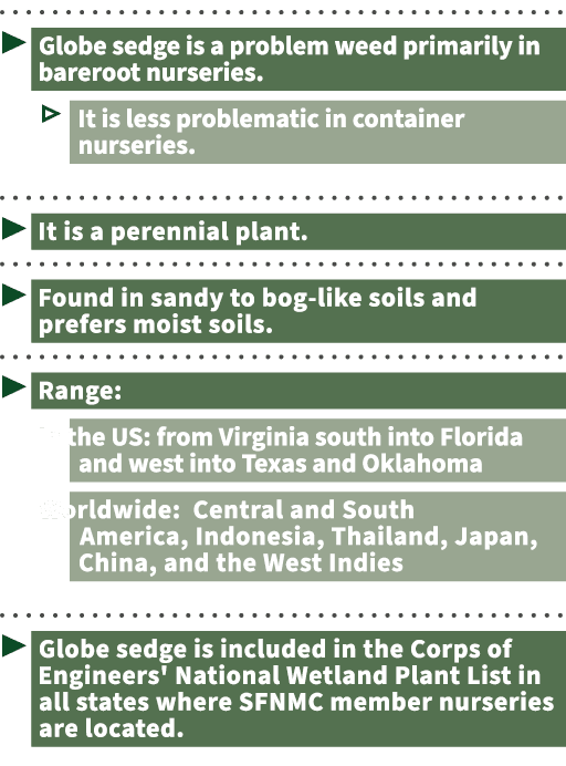  ▶ ￼ ￼ ▷ ￼ ￼ ▶ ￼ ▶ ￼ ￼ ▶ ￼ ￼ ￼ ￼ ￼ ￼ ▶ ￼ ￼ ￼ ￼