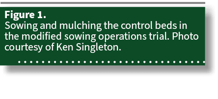 Figure 1. Sowing and mulching the control beds in the modified sowing operations trial. Photo courtesy of Ken Singlet...