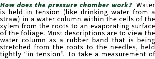 How does the pressure chamber work? Water is held in tension (like drinking water from a straw) in a water column wit...