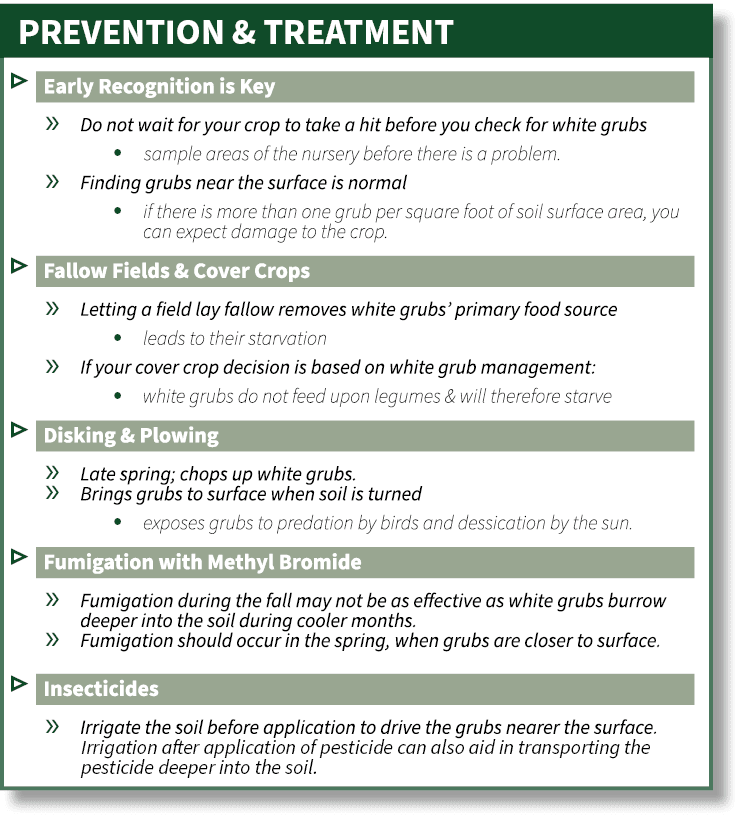 ▷ ￼ » ￼ ∙ ￼ » ￼ ∙ ￼ ￼ ▷ ￼ » ￼ ∙ ￼ » ￼ ∙ ￼ ▷ ￼ » ￼ » ￼ ∙ ￼ ▷ ￼ » ￼ ￼ » ￼ ▷ ￼ » ￼Irrigation after application of pestic...