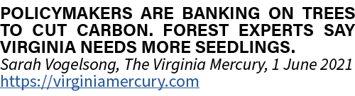 Policymakers are banking on trees to cut carbon. Forest experts say Virginia needs more seedlings. Sarah Vogelsong, T...