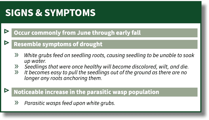 SIGNS & SYMPTOMS,▷ ￼ ▷ ￼ » ￼ ￼ » ￼ » ￼ ￼ ▷ ￼ » ￼, 