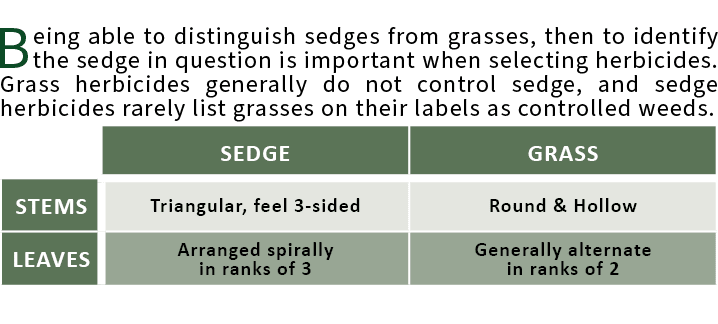 20 Years Ago - Article