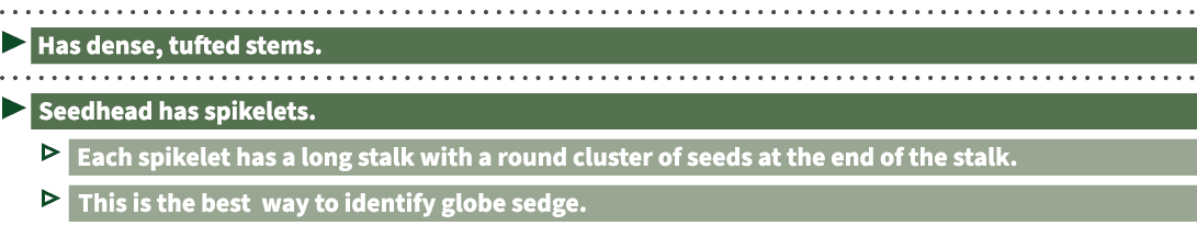  ▶ ￼ ▶ ￼ ▷ ￼ ▷ ￼