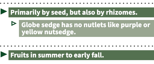  ▶ ￼ ▷ ￼ ￼ ▶ ￼