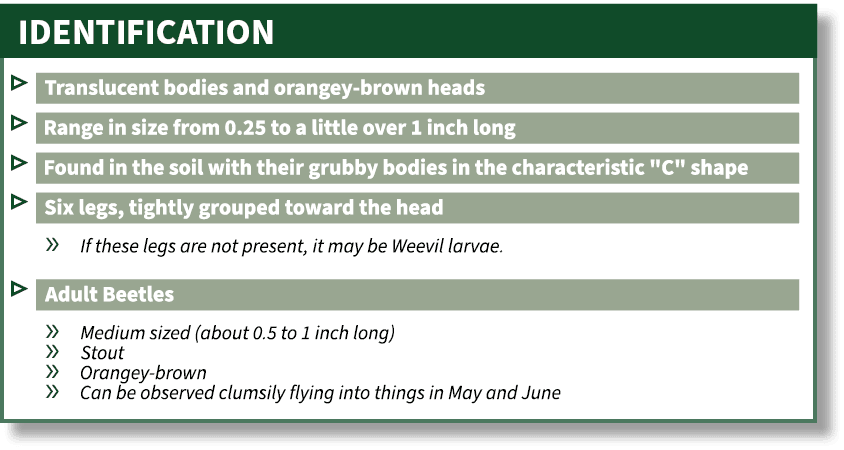 IDENTIFICATION,▷ ￼ ▷ ￼ ▷ ￼ ▷ ￼ » ￼ ▷ ￼ » ￼ » ￼ » ￼ » ￼, 