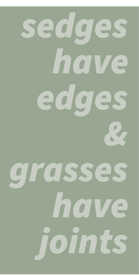 ￼ ￼ ￼ ￼ ￼ ￼ ￼